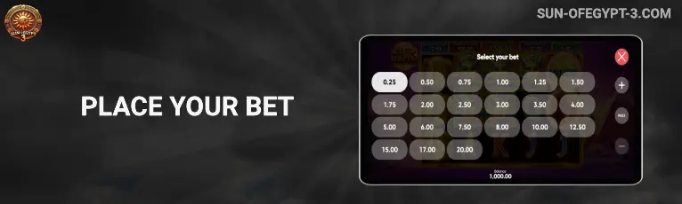 Step 3 – Place a Bet
